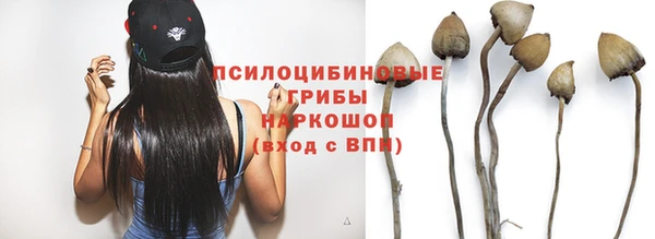 тгк Армянск