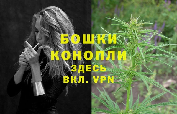 СК Аркадак