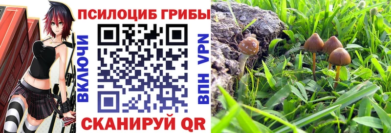 Галлюциногенные грибы ЛСД  Жиздра 